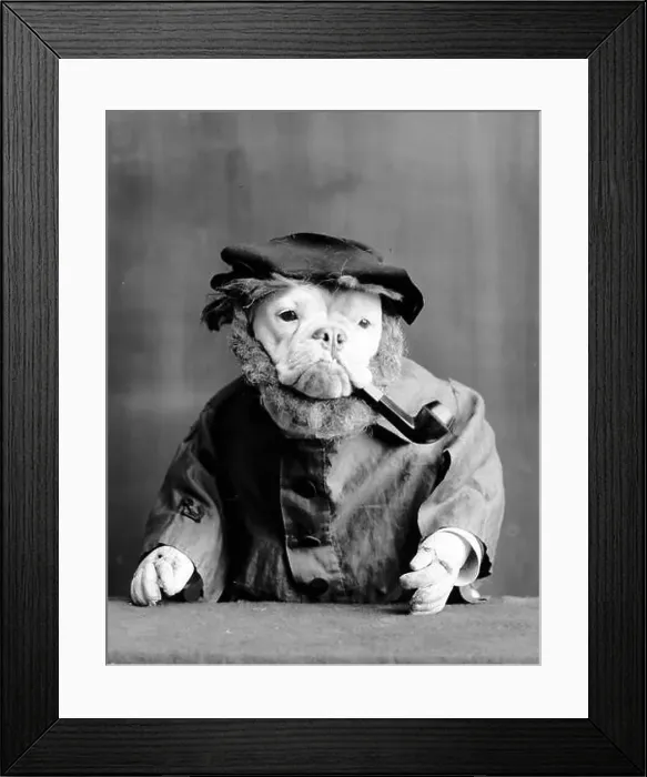 Framed Print : Anthropomorphism, Old Sea Dog, 1905 Framed Print : Anthropomorphism, Old Sea Dog, 1905