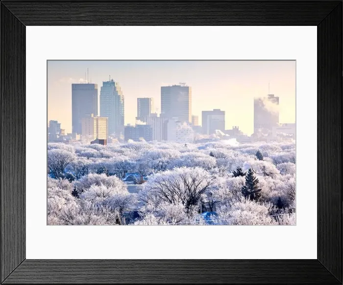Framed Print : Winnipeg skyline and hoar frost covered trees, on a winter day. Winnipeg, Manitoba, Canada Framed Print : Winnipeg skyline and hoar frost covered trees, on a winter day. Winnipeg, Manitoba, Canada