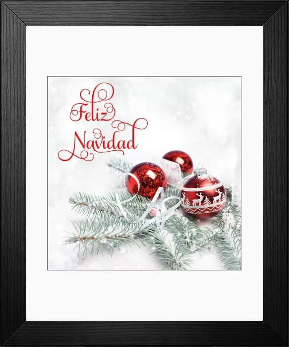 Framed Print : Xmas tree, decorated branches on snow, text Feliz Navidad, or Merry Christmas in Spanish Framed Print : Xmas tree, decorated branches on snow, text Feliz Navidad, or Merry Christmas in Spanish