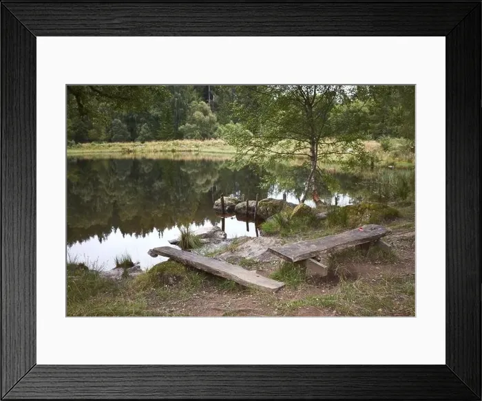 Framed Print : Rest stop along a track overlooking a pond Framed Print : Rest stop along a track overlooking a pond