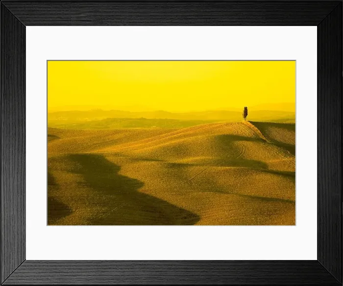 Framed Print : lonely cypress tree in hill typical tuscan landscape Framed Print : lonely cypress tree in hill typical tuscan landscape