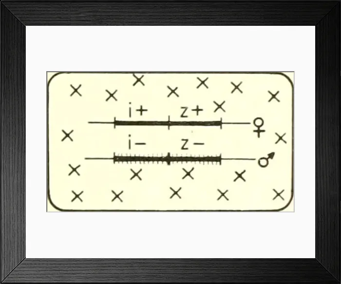 Framed Print : Biological order. Biology. X X X X X ^ v- X X X 2+ X X I I 5^ X X X X ^X X X ^ X X X > cr zygote I