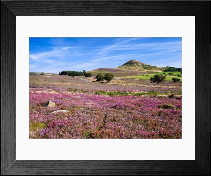Framed Print : Hawnby Hill from Hawnby Moor North York Moors national park North Yorkshire England, UK Framed Print : Hawnby Hill from Hawnby Moor North York Moors national park North Yorkshire England, UK
