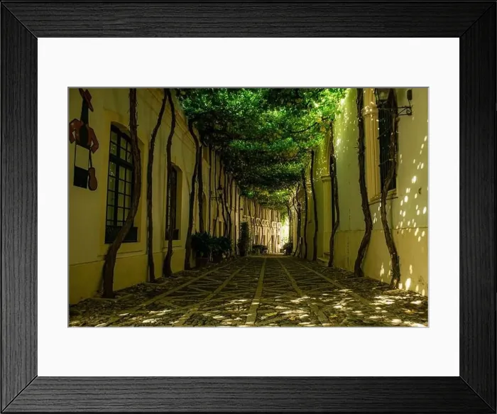 Framed Print : Calle ciegos and courtyard in Jerez de la Frontera