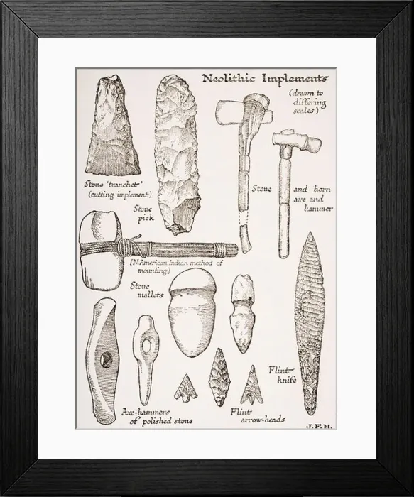 Framed Print : Neolithic Implements. Weapons, tools Framed Print : Neolithic Implements. Weapons, tools