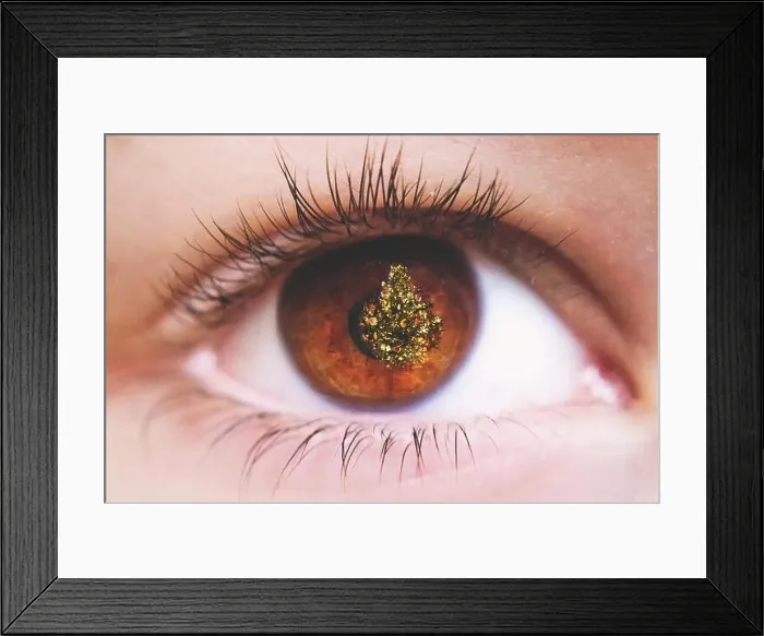 Framed Print : Close up of refection of Christmas tree in a child's eye Framed Print : Close up of refection of Christmas tree in a child's eye