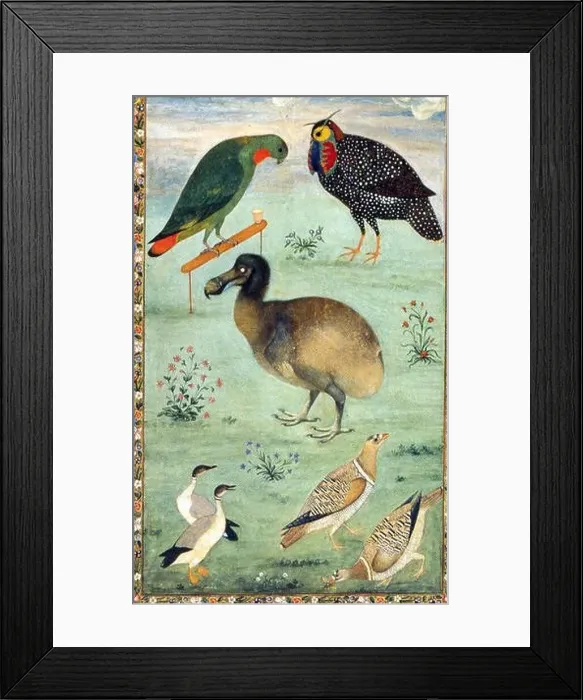 Framed Print : N / A. English: Painting by the Mughal artist Ustad Mansur from c 1625 Framed Print : N / A. English: Painting by the Mughal artist Ustad Mansur from c 1625