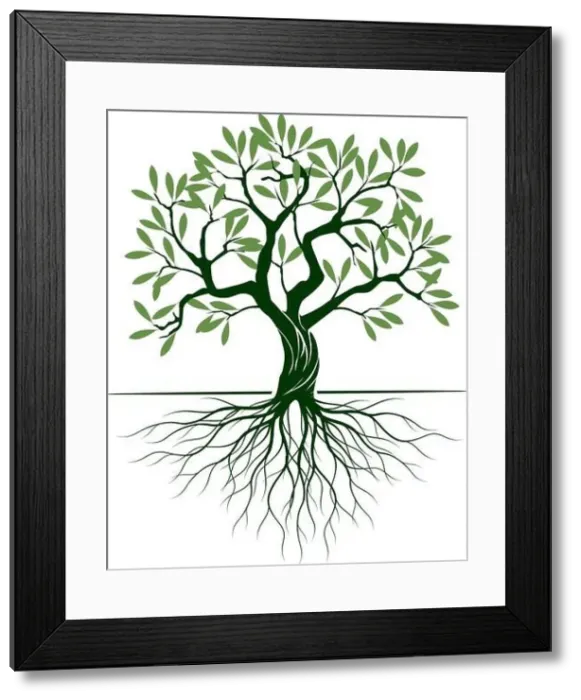 Framed Print : Green Olive Tree with Roots on white background. Vector Illustration and concept pictogram. Plant in garden Framed Print : Green Olive Tree with Roots on white background. Vector Illustration and concept pictogram. Plant in garden