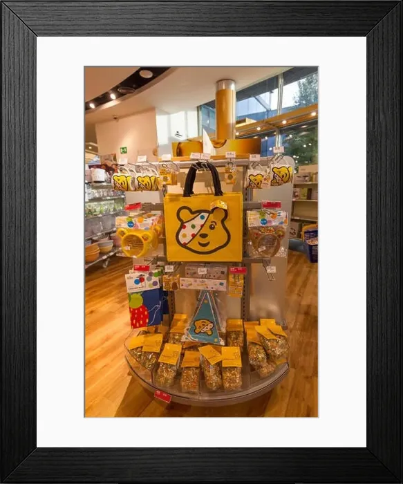 Framed Print : Lakeland Store Windermere Cumbria 22nd October 2015 BBC Children in Need 2015 Pudsey goods on sale at Lakeland main Framed Print : Lakeland Store Windermere Cumbria 22nd October 2015 BBC Children in Need 2015 Pudsey goods on sale at Lakeland main