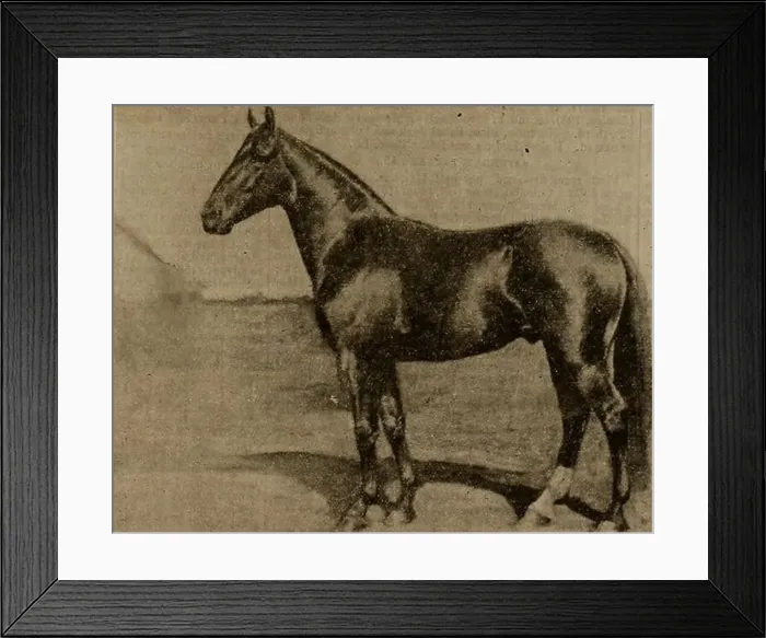 Framed Print : Breeder and sportsman. Horses. Vol Framed Print : Breeder and sportsman. Horses. Vol