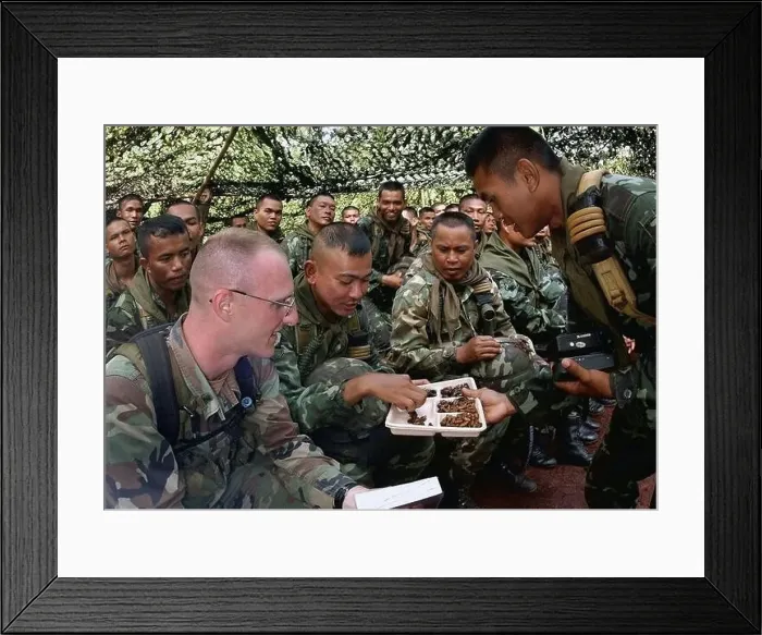 Framed Print : 020522-F-6655M-008. Subject Operation / Series: COBRA GOLD 2002 Country: Thailand (THA) Framed Print : 020522-F-6655M-008. Subject Operation / Series: COBRA GOLD 2002 Country: Thailand (THA)