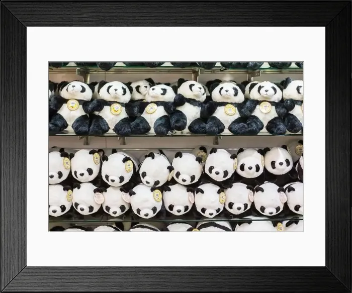 Framed Print : Panda stuffed toys at the Taipei Zoo Giant Panda House in Taiwan Framed Print : Panda stuffed toys at the Taipei Zoo Giant Panda House in Taiwan