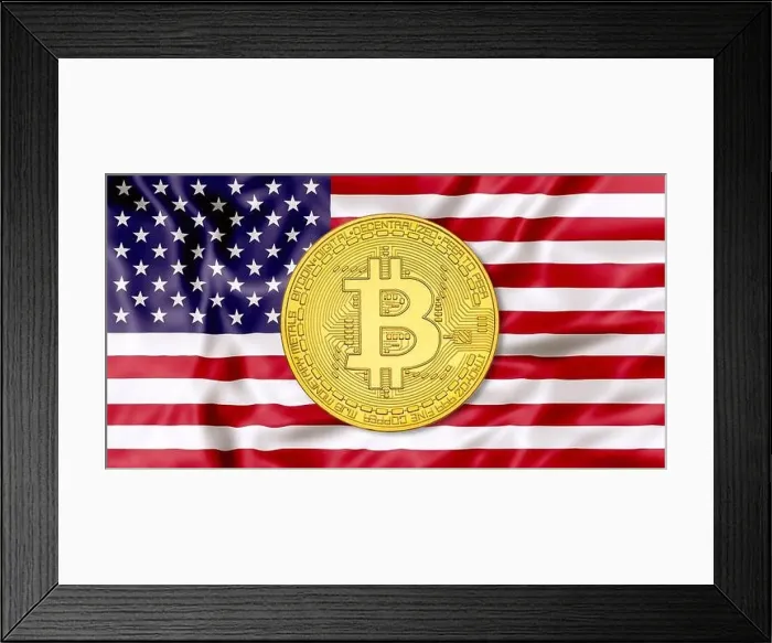 Framed Print : Bitcoin symbol United States flag 3D background Framed Print : Bitcoin symbol United States flag 3D background