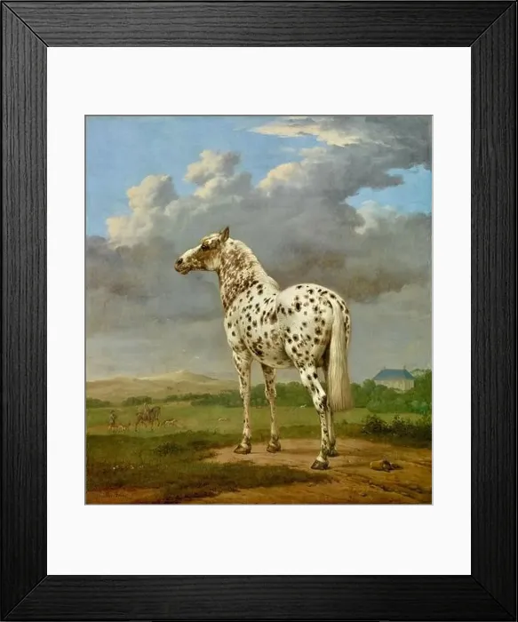 Framed Print : Paulus Potter - The Piebald Horse - 1650 - 1654 Framed Print : Paulus Potter - The Piebald Horse - 1650 - 1654