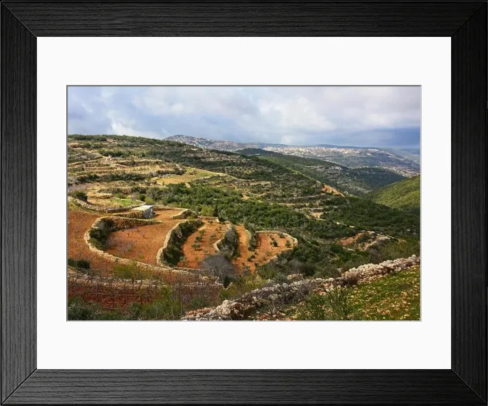 Framed Print : Northern Galilee terraces, Israel Framed Print : Northern Galilee terraces, Israel