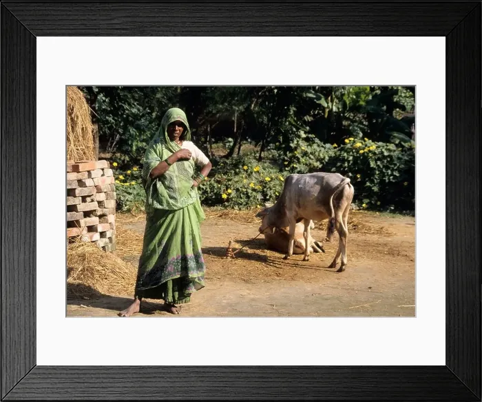 Framed Print : North India Uttar Pradesh Lucknow Village Life Framed Print : North India Uttar Pradesh Lucknow Village Life