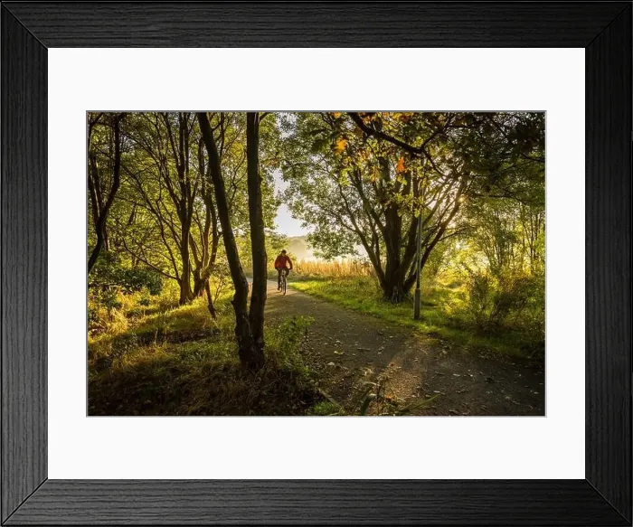 Framed Print : Cyclist on Huncoat Greenway at Within Grove, Huncoat, Lancashire Framed Print : Cyclist on Huncoat Greenway at Within Grove, Huncoat, Lancashire