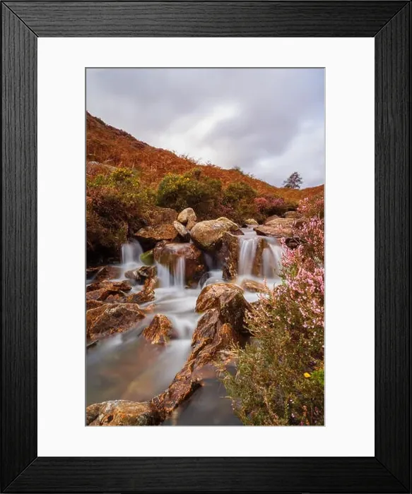 Framed Print : A small mountain stream in Cwm Bychan near Beddgelert in the Snowdonia National Park in North Wales Framed Print : A small mountain stream in Cwm Bychan near Beddgelert in the Snowdonia National Park in North Wales