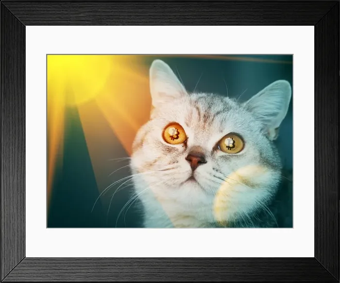 Framed Print : The crypto cat cryptocat with bitcoins in eyes Framed Print : The crypto cat cryptocat with bitcoins in eyes