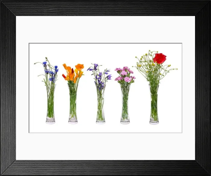 Framed Print : A set of different wildflowers in transparent vases Framed Print : A set of different wildflowers in transparent vases