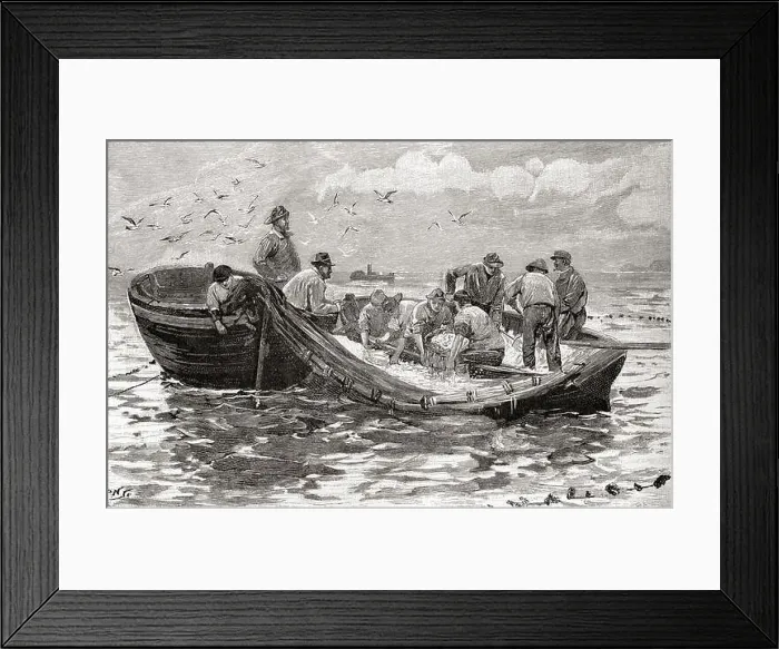 Framed Print : Dipping for pilchards in the 19th century. From The Strand Magazine, Vol I January to June, 1891 Framed Print : Dipping for pilchards in the 19th century. From The Strand Magazine, Vol I January to June, 1891