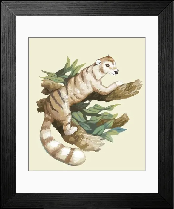 Framed Print : Miacis, Extinct Carnivore, Illustration