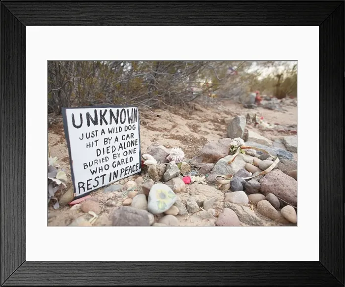 Framed Print : Pet Cemetery near the Sleepy Hollow trailer park on the Quechan Indian reservation Andrade California Framed Print : Pet Cemetery near the Sleepy Hollow trailer park on the Quechan Indian reservation Andrade California