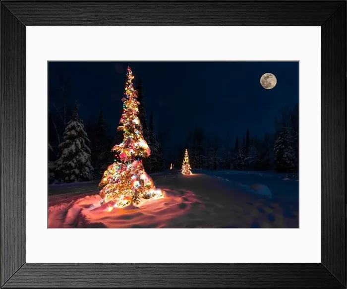 Framed Print : Christmas Trees with lights and deep snow Framed Print : Christmas Trees with lights and deep snow