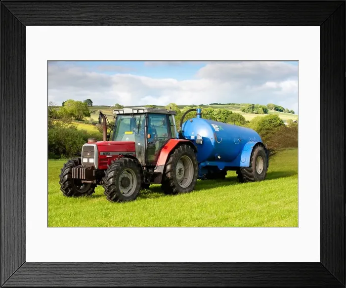 Framed Print : Slurry spreading with a vacum tanker on back of a Massey Ferguson 6180 Framed Print : Slurry spreading with a vacum tanker on back of a Massey Ferguson 6180