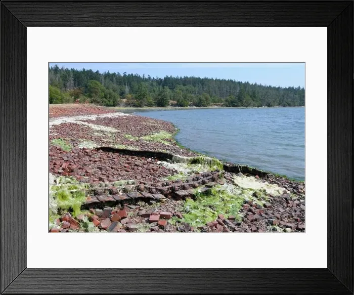 Framed Print : Old bricks left behind by the Sidney Tile and Brick Company, Sidney Spit, Gulf Islands National Park Reserve of Canada Framed Print : Old bricks left behind by the Sidney Tile and Brick Company, Sidney Spit, Gulf Islands National Park Reserve of Canada