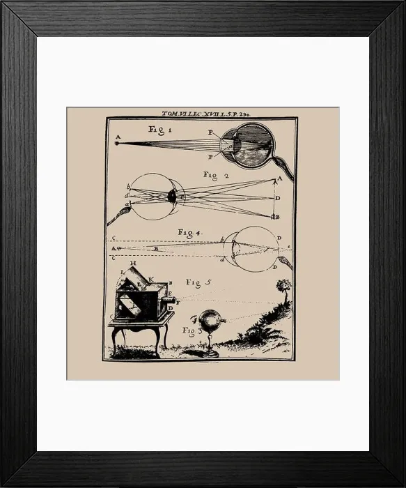 Framed Print : Comparative depiction of the human eye and the camera obscura, 18th century. Creator: Anonymous Framed Print : Comparative depiction of the human eye and the camera obscura, 18th century. Creator: Anonymous