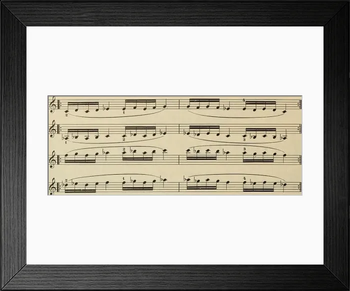 Framed Print : Preparatory trill studies for the violin Framed Print : Preparatory trill studies for the violin