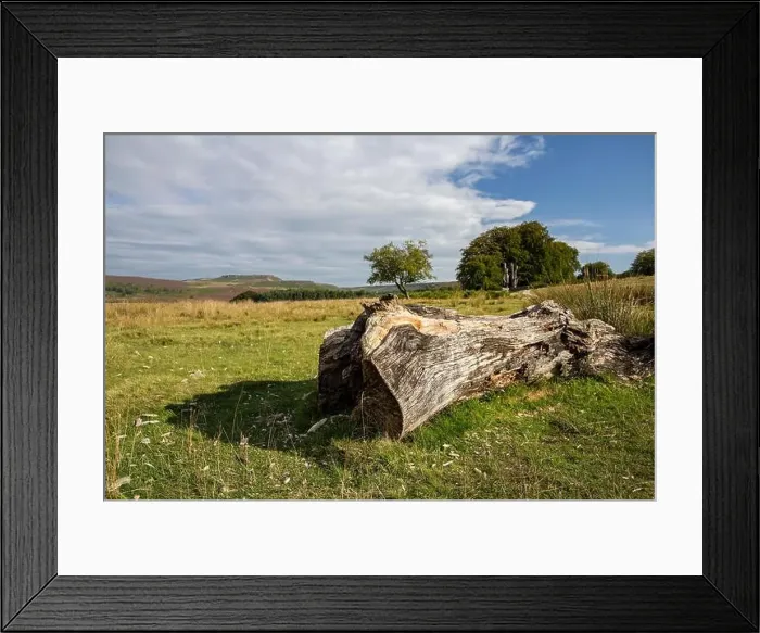 Framed Print : A view across moorland to Burbage Edge from the Longshaw Estate in the Peak District Framed Print : A view across moorland to Burbage Edge from the Longshaw Estate in the Peak District