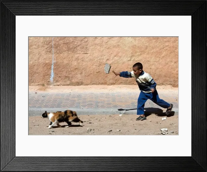 Framed Print : Cats of Essaouira, Morrocco, Africa. A kid throwing a rock at a scared cat Framed Print : Cats of Essaouira, Morrocco, Africa. A kid throwing a rock at a scared cat
