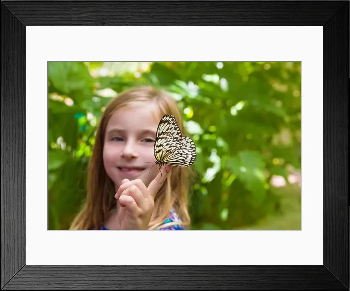 Framed Print : Girl holding finger Rice Paper butterfly Idea leuconoe in outdoor Framed Print : Girl holding finger Rice Paper butterfly Idea leuconoe in outdoor
