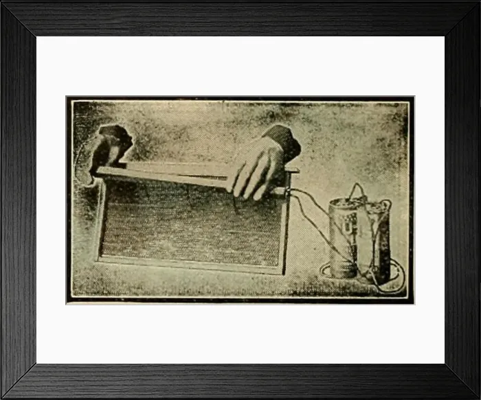 Framed Print : American bee journal. Bee culture; Bees Framed Print : American bee journal. Bee culture; Bees