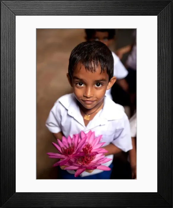 Framed Print : Little boy with pink water lilies in the Temple of the Tooth in Sri Dalada Maligawa, Kandy, Sri Lanka, Asia Framed Print : Little boy with pink water lilies in the Temple of the Tooth in Sri Dalada Maligawa, Kandy, Sri Lanka, Asia