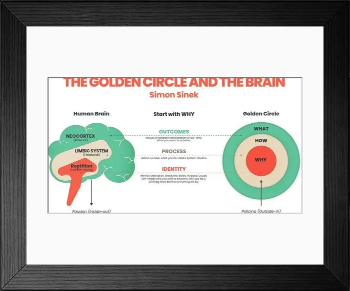 Framed Print : The Golden Circle and brain illustration of Simon Sinek has 3 elements starting with Why question Framed Print : The Golden Circle and brain illustration of Simon Sinek has 3 elements starting with Why question