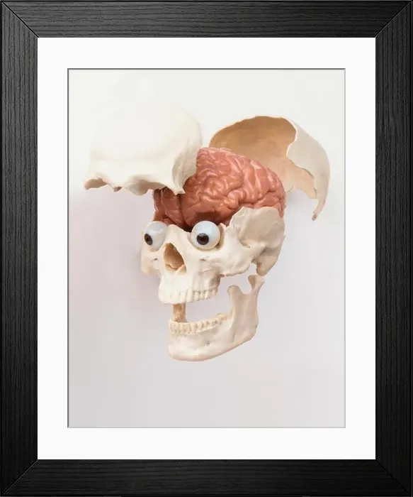 Framed Print : Plastic model of human skull with eyes and cranium opened to reveal brain Framed Print : Plastic model of human skull with eyes and cranium opened to reveal brain