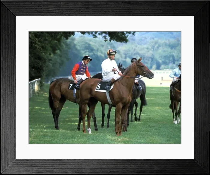 Framed Print : Joe Mercer Lester Piggott at Epsom 1970s Framed Print : Joe Mercer Lester Piggott at Epsom 1970s