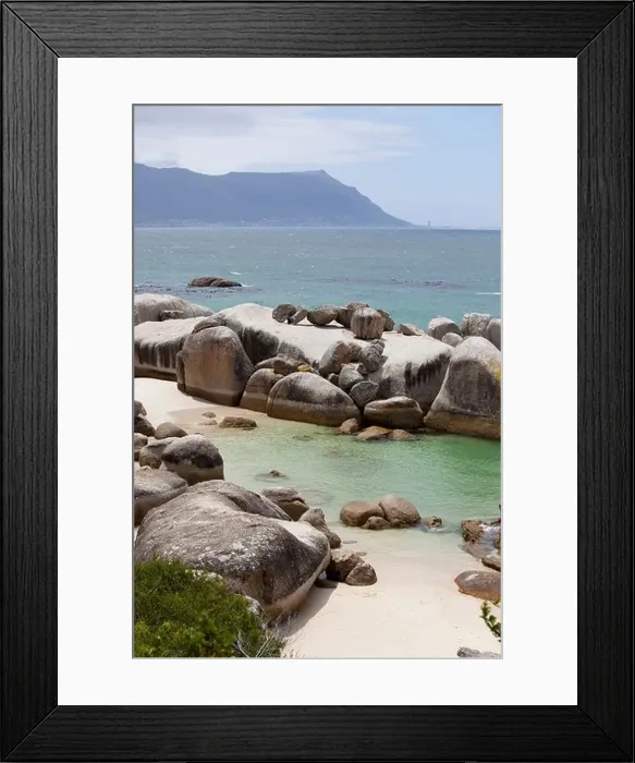 Framed Print : Boulders Beach, Simon's Town, South Africa Framed Print : Boulders Beach, Simon's Town, South Africa