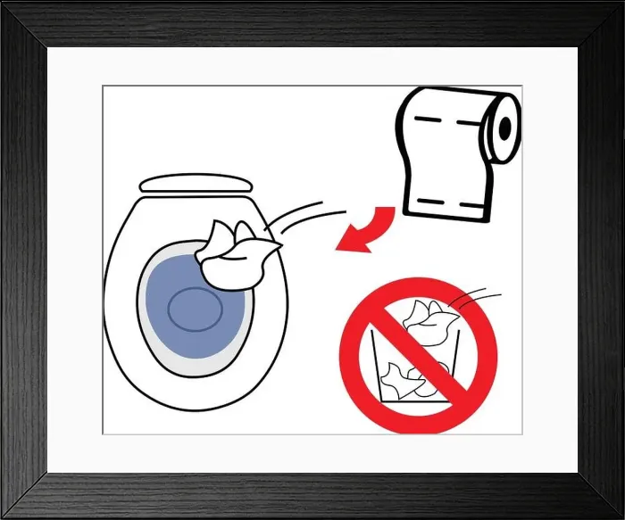 Framed Print : Throw used toilet paper in the toilet bowl do not throw it into the litter bin Framed Print : Throw used toilet paper in the toilet bowl do not throw it into the litter bin