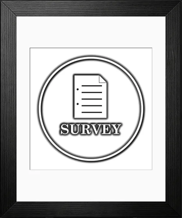 Framed Print : Survey icon. Internet button on white background Framed Print : Survey icon. Internet button on white background