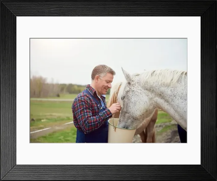 Framed Print : Side view of farmer feeding horse on field Framed Print : Side view of farmer feeding horse on field