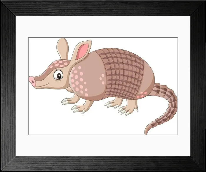 Framed Print : Cartoon armadillo on white background Framed Print : Cartoon armadillo on white background