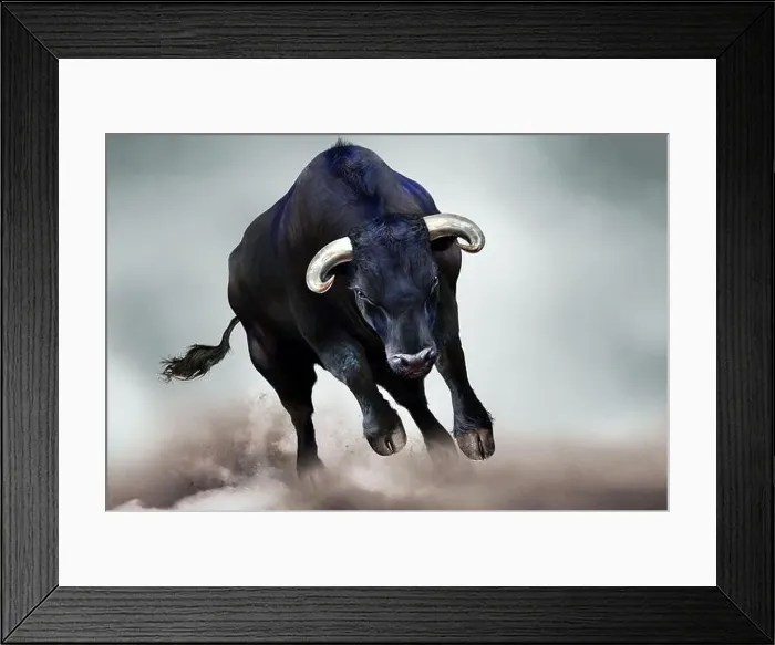 Framed Print : Charging bull, Bull run Framed Print : Charging bull, Bull run