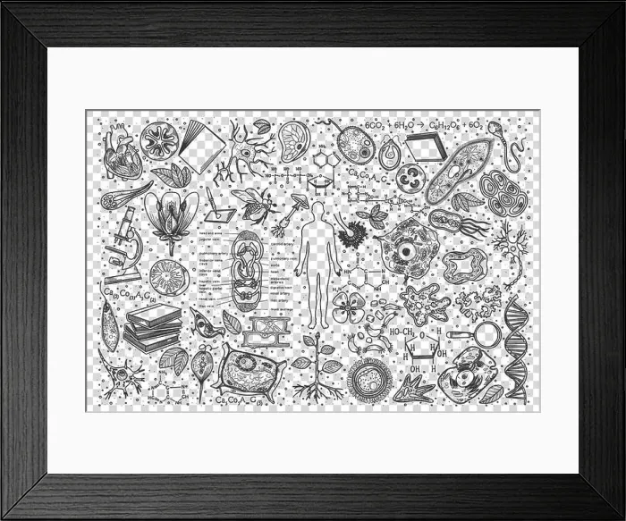 Framed Print : Biology doodle set Framed Print : Biology doodle set