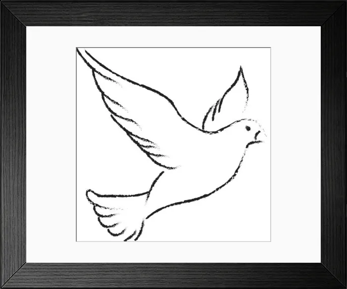 Framed Print : Dove drawing, illustration, vector on white background Framed Print : Dove drawing, illustration, vector on white background