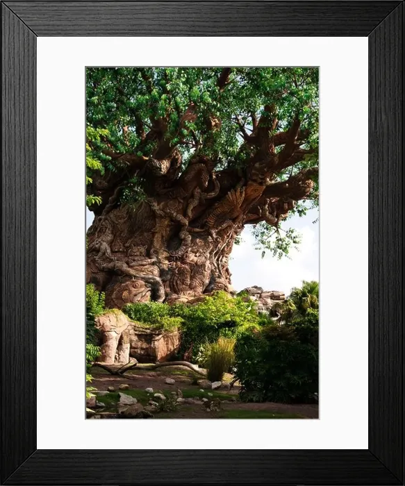 Framed Print : tree of life walt disney world florida FL orlando the symbol of the animal kingdom Framed Print : tree of life walt disney world florida FL orlando the symbol of the animal kingdom