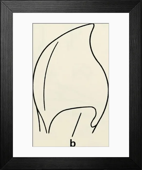 Framed Print : Bats of Portugal : zoogeography and systematics Framed Print : Bats of Portugal : zoogeography and systematics